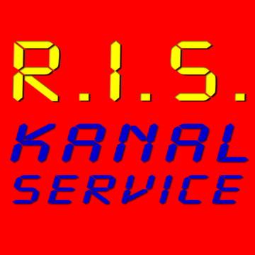 RIS Icon groß